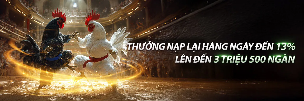 Đá gà trực tuyến 77 ball game bài - Nơi quy tụ những trận đấu kịch tính